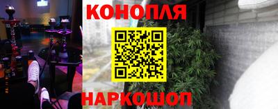 PSILOCYBIN Камышлов