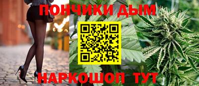 PSILOCYBIN Камышлов