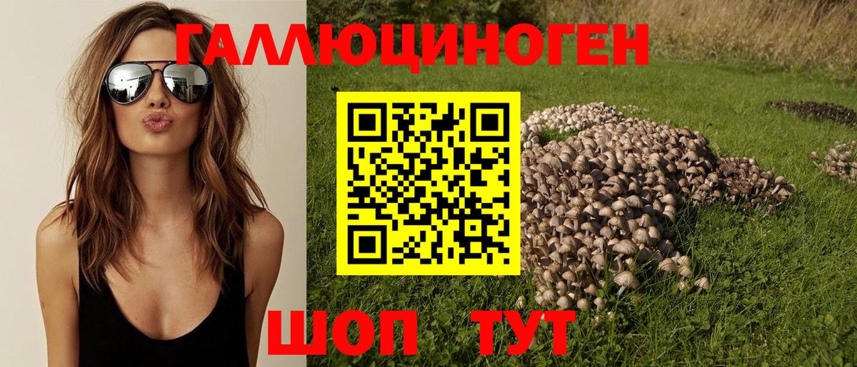 Ленинск-Кузнецкий  Псилоцибиновые грибы Cubensis  Вход с VPN 