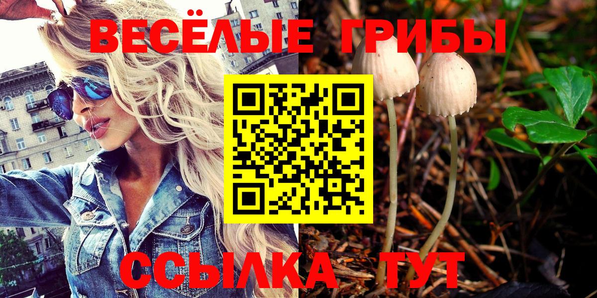 Псилоцибиновые грибы мухоморы Ленинск-Кузнецкий
